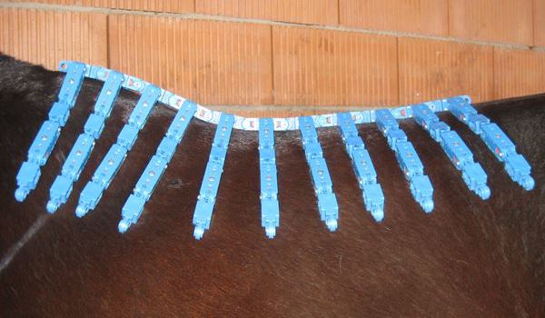 sample content image